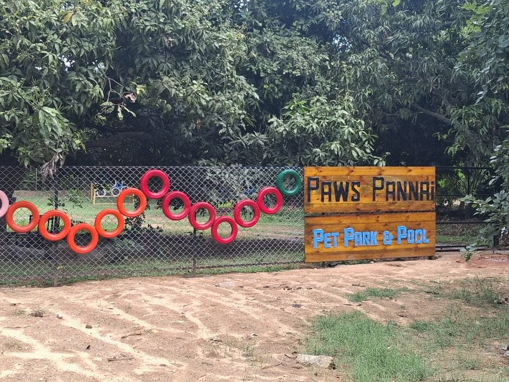 A hand-painted wooden sign reading Paws Pannai Pet Park & Pool, beside a chain-link fence hung with red and orange tyres.