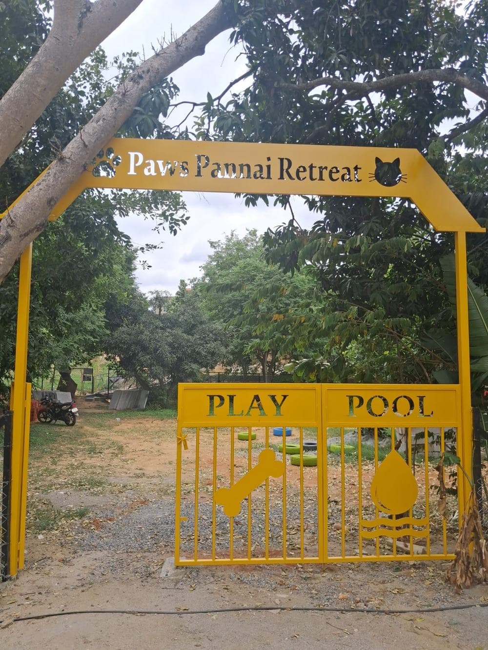 The yellow steel entrance arch at Paws Pannai Retreat, with PLAY and POOL gates below a mango canopy.
