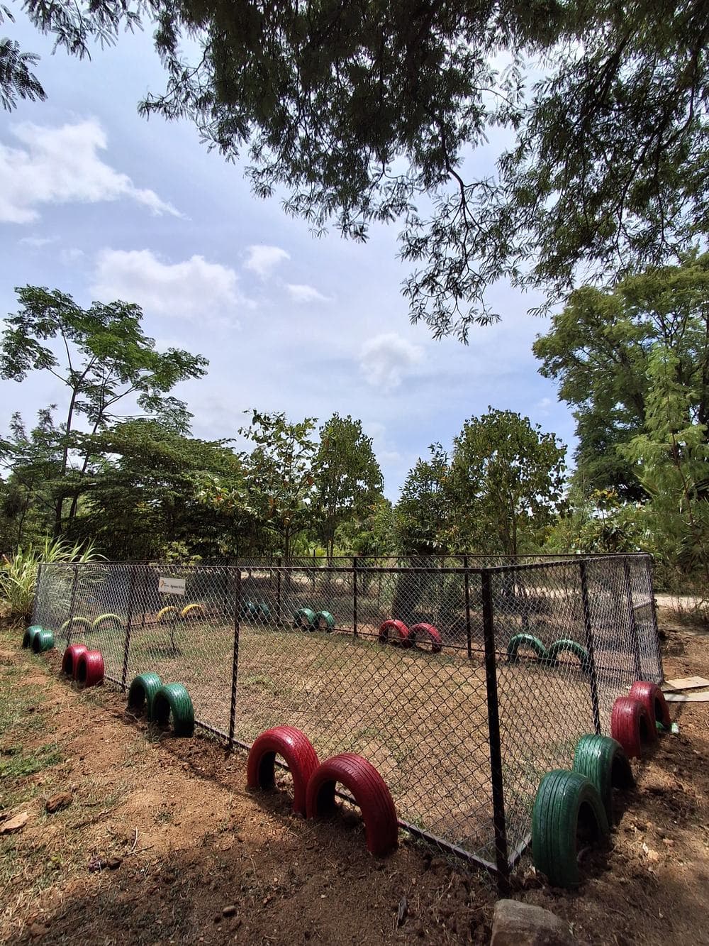 A fenced play zone edged with green and red tyre arches, framed by tamarind branches.